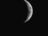 Astrological Prognosis for the Next Month