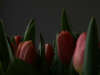 The Beauty of Spring Was Darkened by War: European News, March 2022